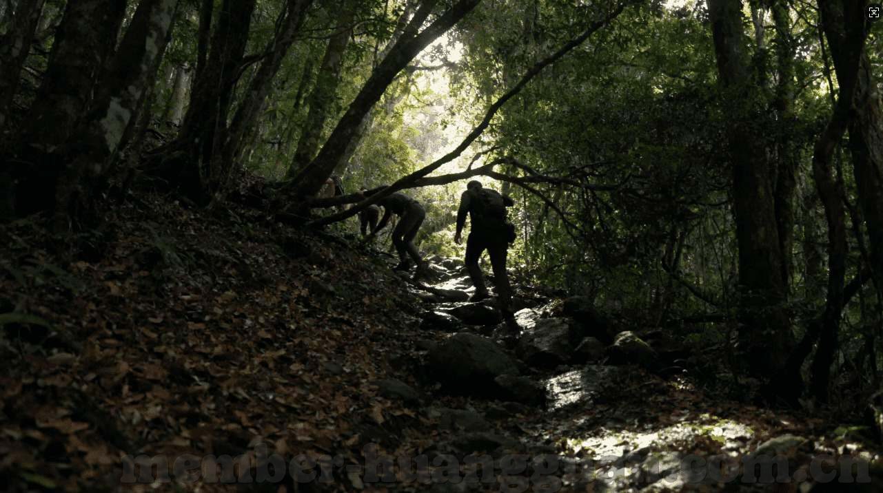 澳门永利集团百度百科-澳门利娱乐集团，繁华背后的一抹光芒